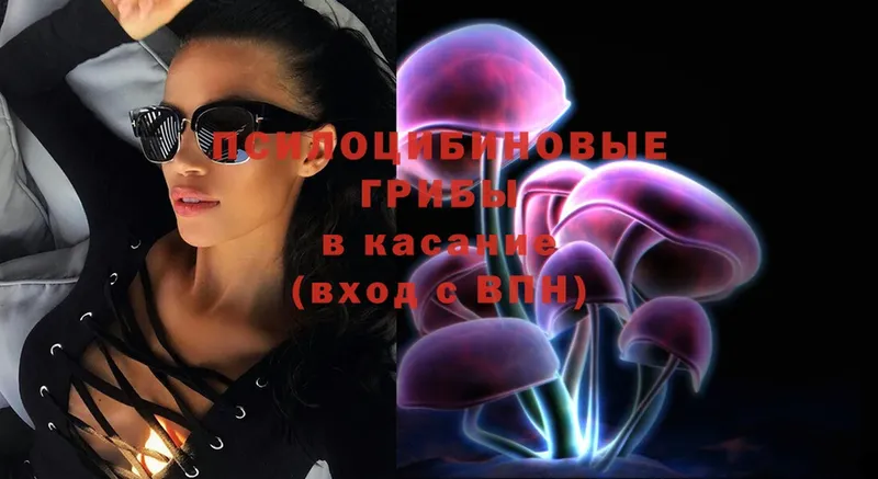 Галлюциногенные грибы Psilocybine cubensis  Касли 